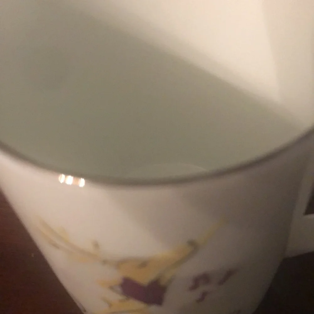 Pottery Barn l Reindeer “Dancer” Christmas Holiday Mug